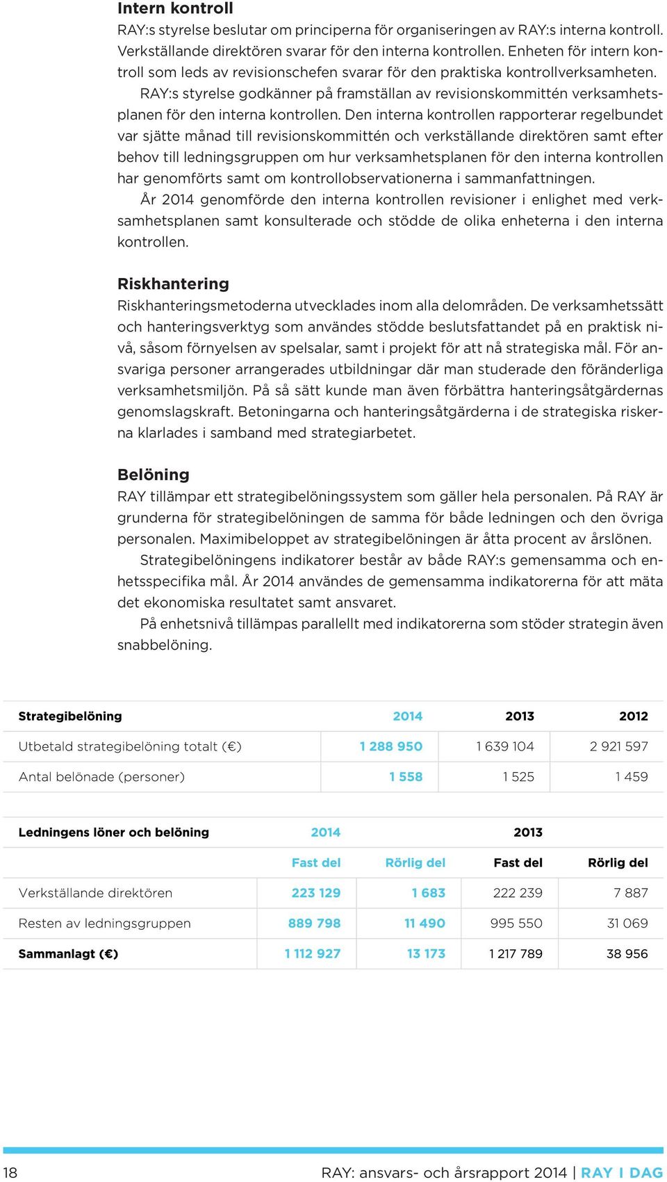 RAY:s styrelse godkänner på framställan av revisionskommittén verksamhetsplanen för den interna kontrollen.