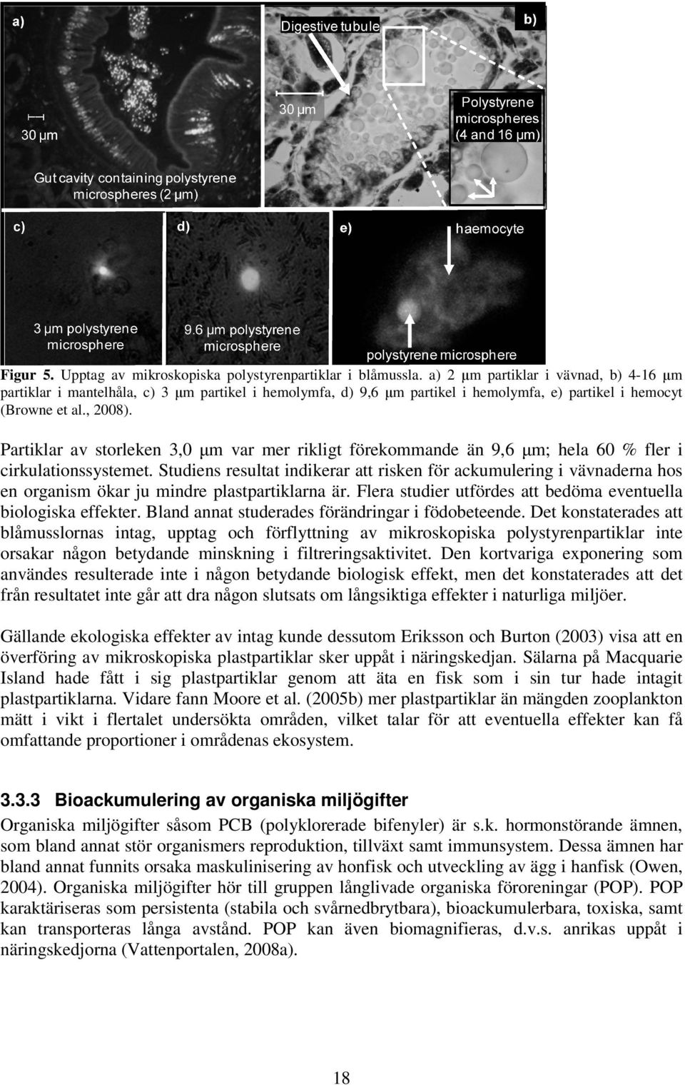 Partiklar av storleken 3,0 µm var mer rikligt förekommande än 9,6 µm; hela 60 % fler i cirkulationssystemet.