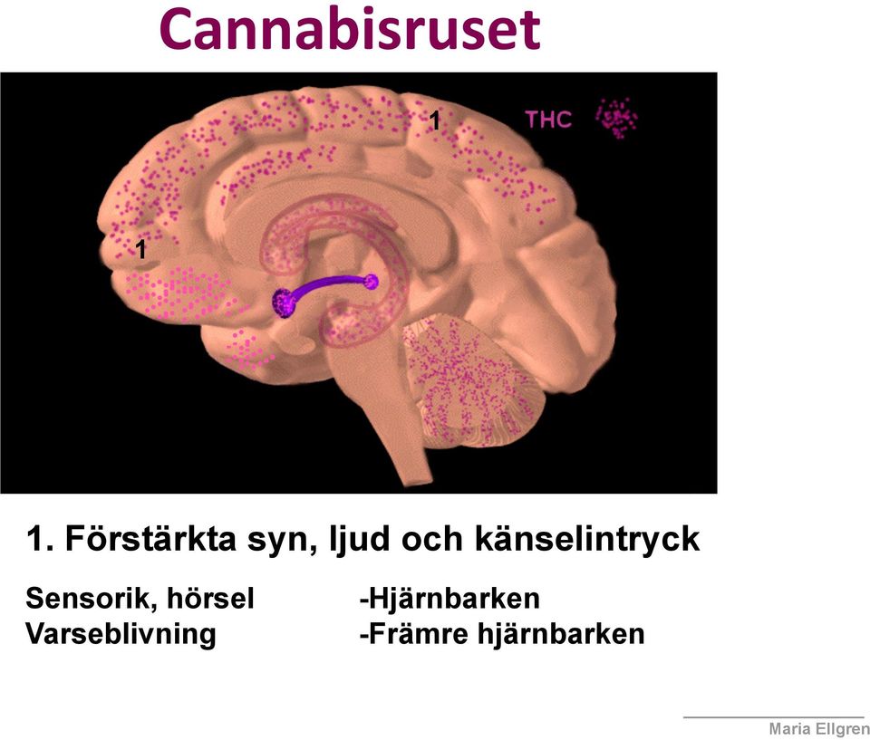 känselintryck Sensorik, hörsel