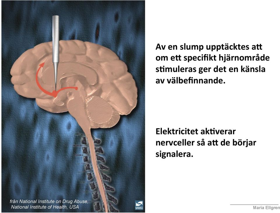 Elektricitet akfverar nervceller så al de börjar