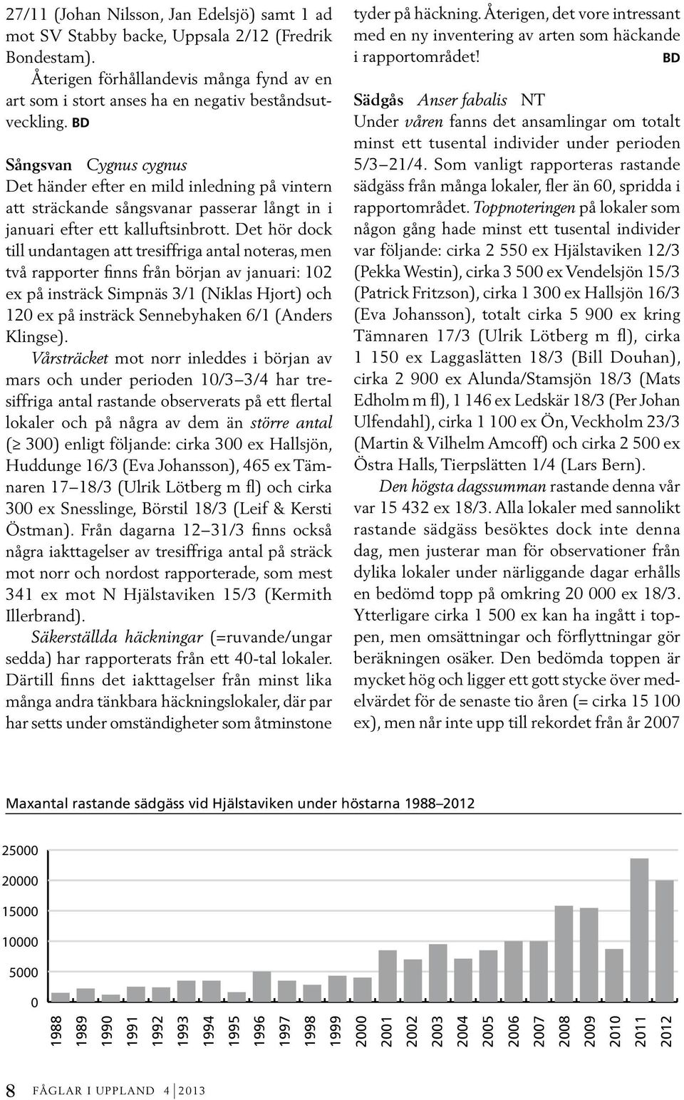 Det hör dock till undantagen att tresiffriga antal noteras, men två rapporter finns från början av januari: 102 ex på insträck Simpnäs 3/1 (Niklas Hjort) och 120 ex på insträck Sennebyhaken 6/1