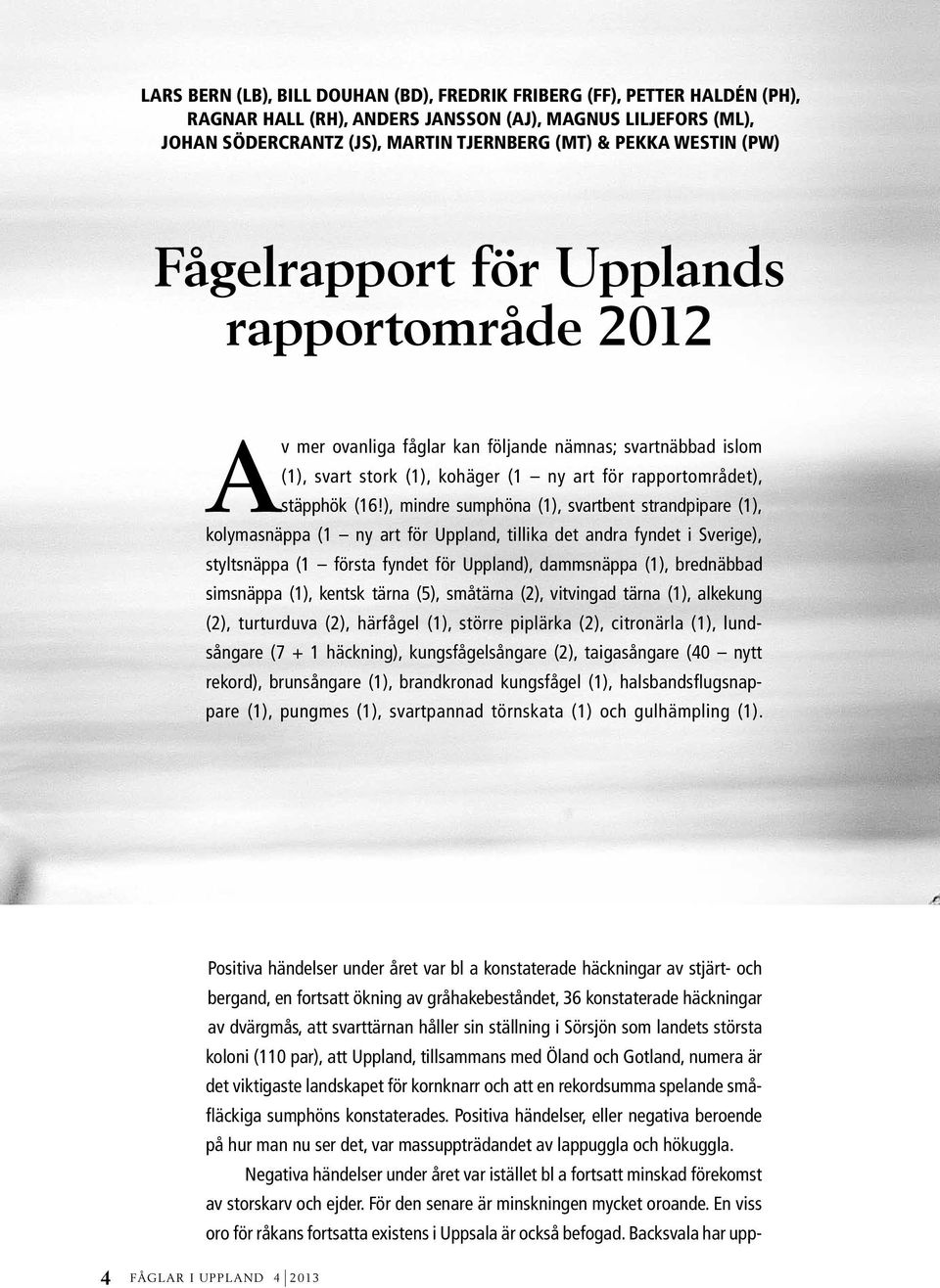 ), mindre sumphöna (1), svartbent strandpipare (1), kolymasnäppa (1 ny art för Uppland, tillika det andra fyndet i Sverige), styltsnäppa (1 första fyndet för Uppland), dammsnäppa (1), brednäbbad