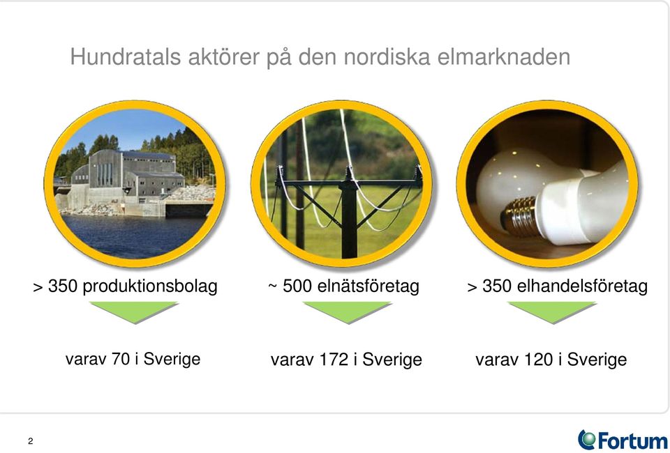 elnätsföretag > 350 elhandelsföretag varav