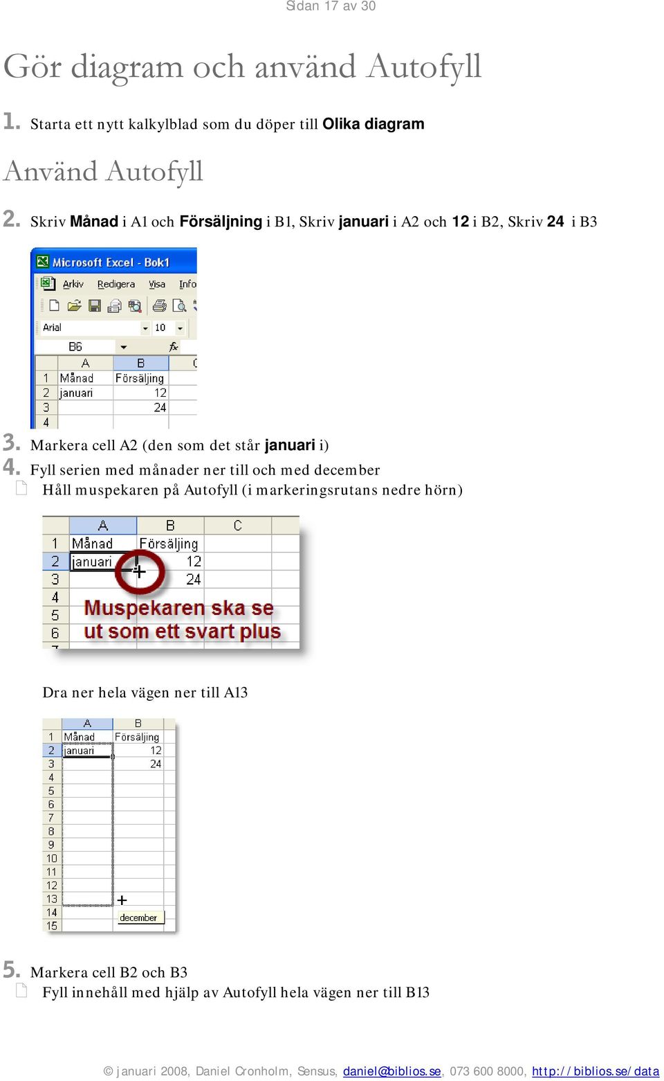 Skriv Månad i A1 och Försäljning i B1, Skriv januari i A2 och 12 i B2, Skriv 24 i B3 3.