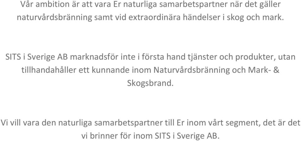 SITS i Sverige AB marknadsför inte i första hand tjänster och produkter, utan tillhandahåller ett