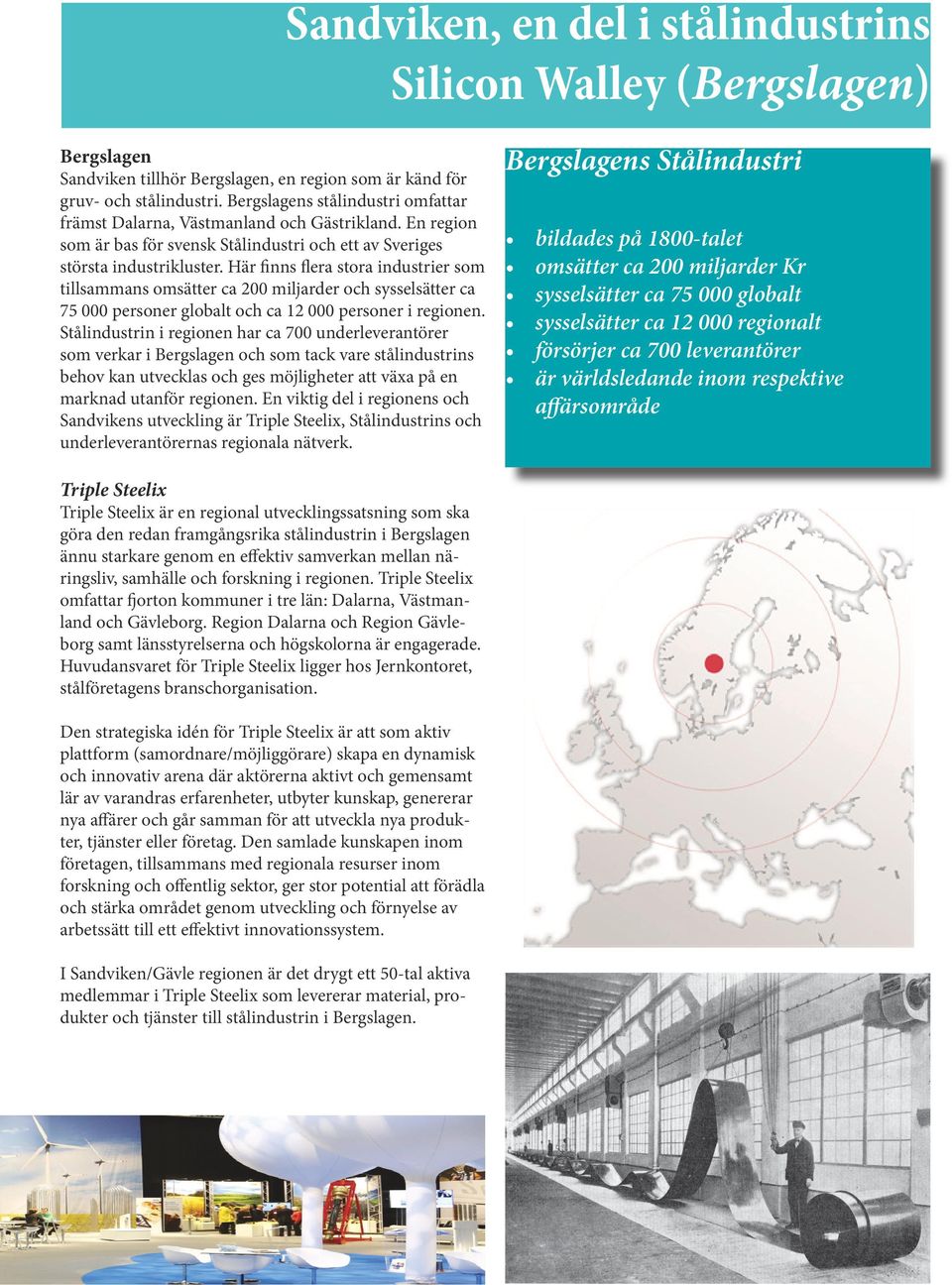 Här finns flera stora industrier som tillsammans omsätter ca 200 miljarder och sysselsätter ca 75 000 personer globalt och ca 12 000 personer i regionen.