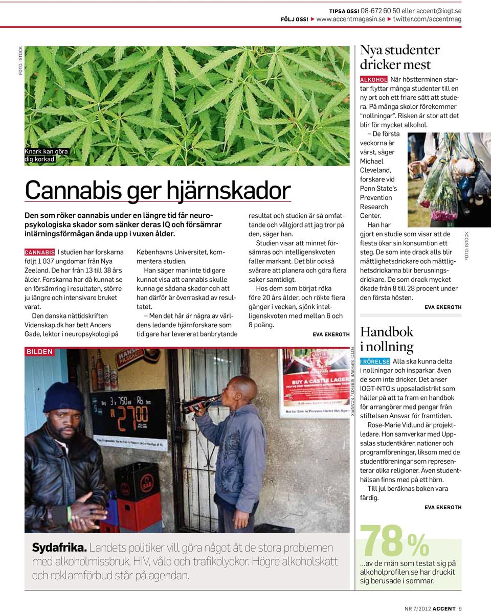 CANNABIS I studien har forskarna följt 1 037 ungdomar från Nya Zeeland. De har från 13 till 38 års ålder.