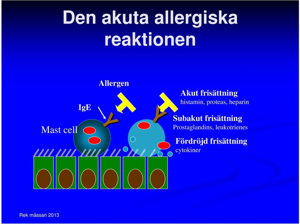 heparin Subakut frisättning Prostaglandins,