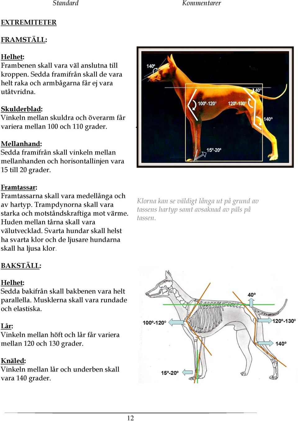 Framtassar: Framtassarna skall vara medellånga och av hartyp. Trampdynorna skall vara starka och motståndskraftiga mot värme. Huden mellan tårna skall vara välutvecklad.