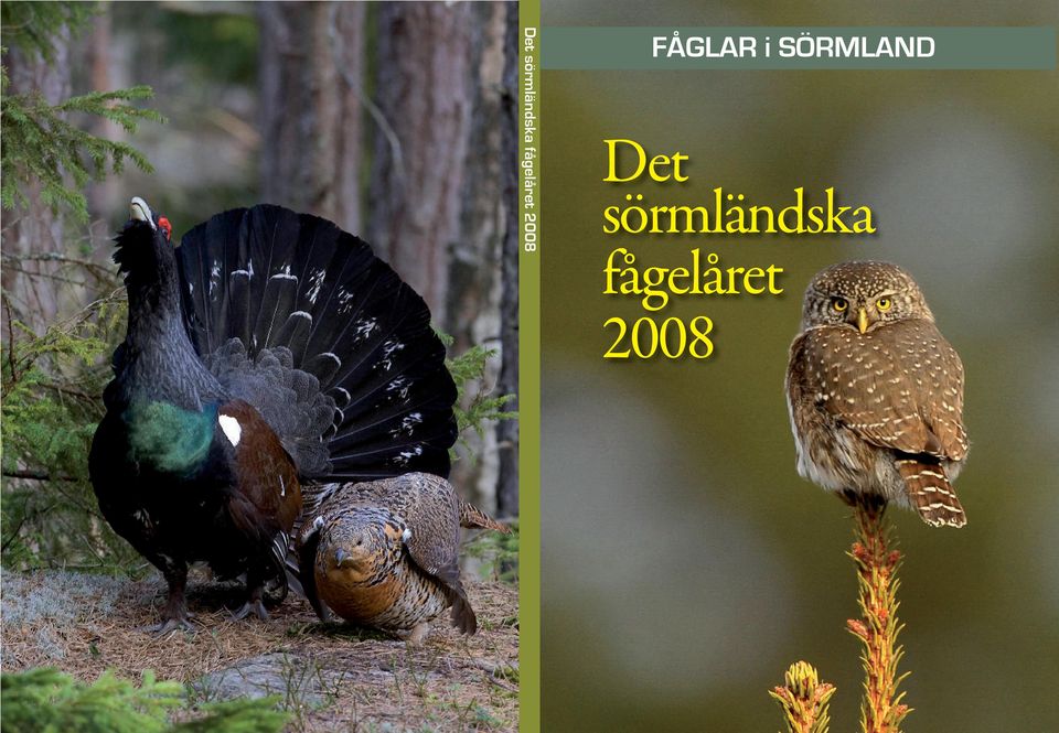 FÅGLAR i SÖRMLAND