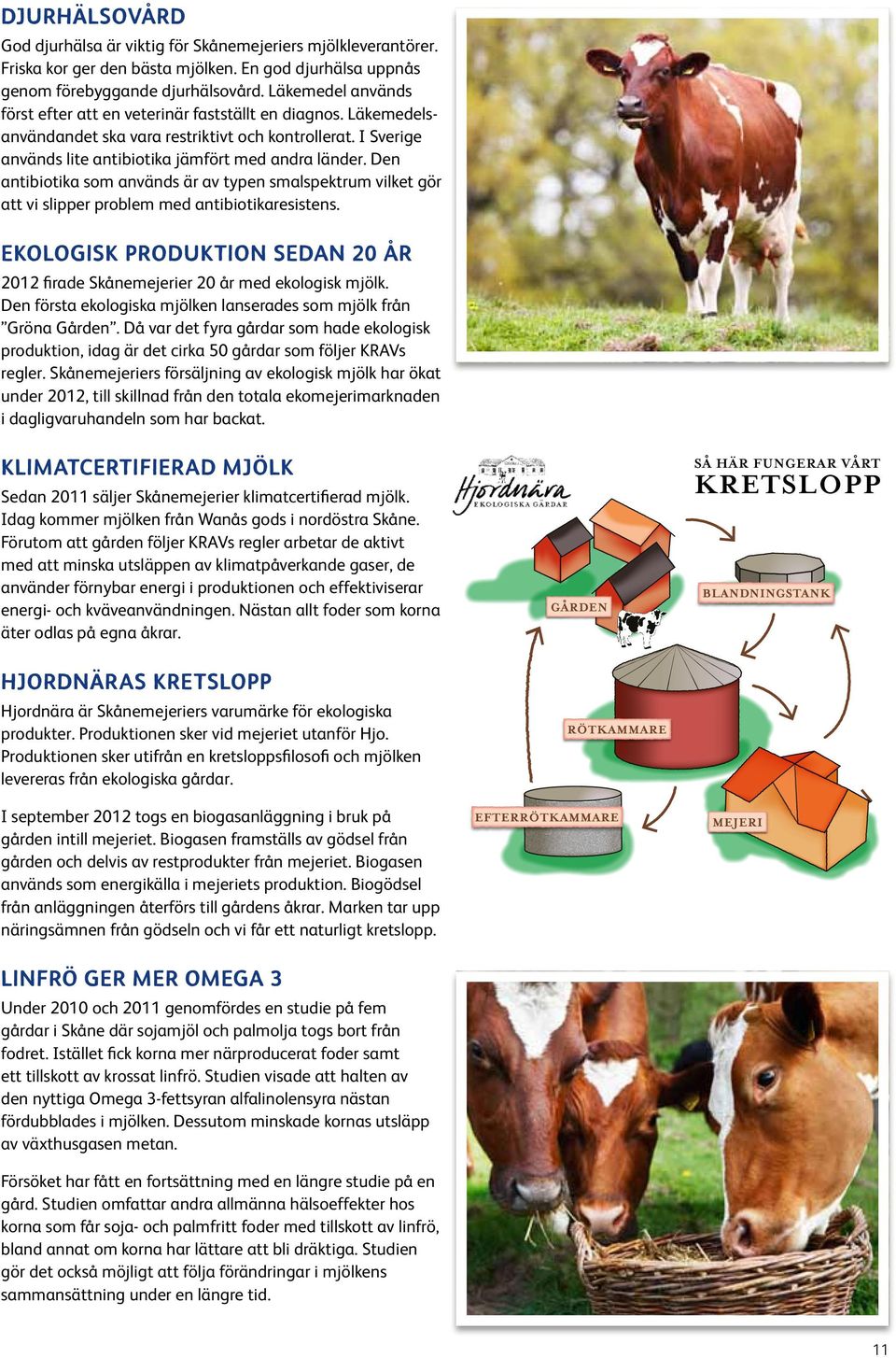 Den antibiotika som används är av typen smalspektrum vilket gör att vi slipper problem med antibiotikaresistens. Ekologisk produktion sedan 20 år 2012 firade Skånemejerier 20 år med ekologisk mjölk.