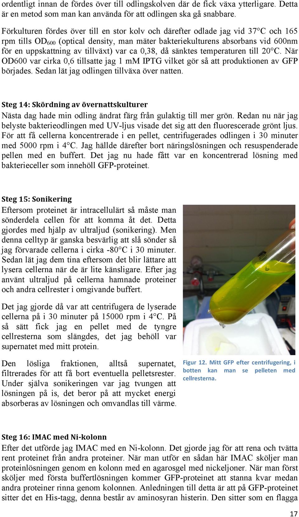 var ca 0,38, då sänktes temperaturen till 20 C. När OD600 var cirka 0,6 tillsatte jag 1 mm IPTG vilket gör så att produktionen av GFP börjades. Sedan lät jag odlingen tillväxa över natten.