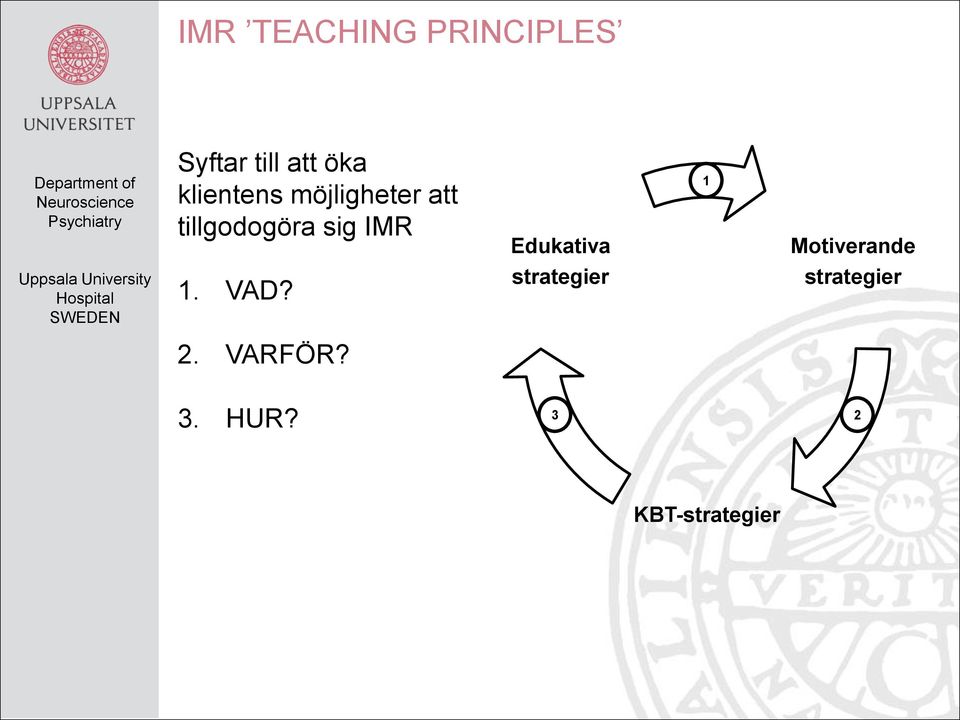 IMR Edukativa 1 Motiverande Uppsala University Hospital SWEDEN