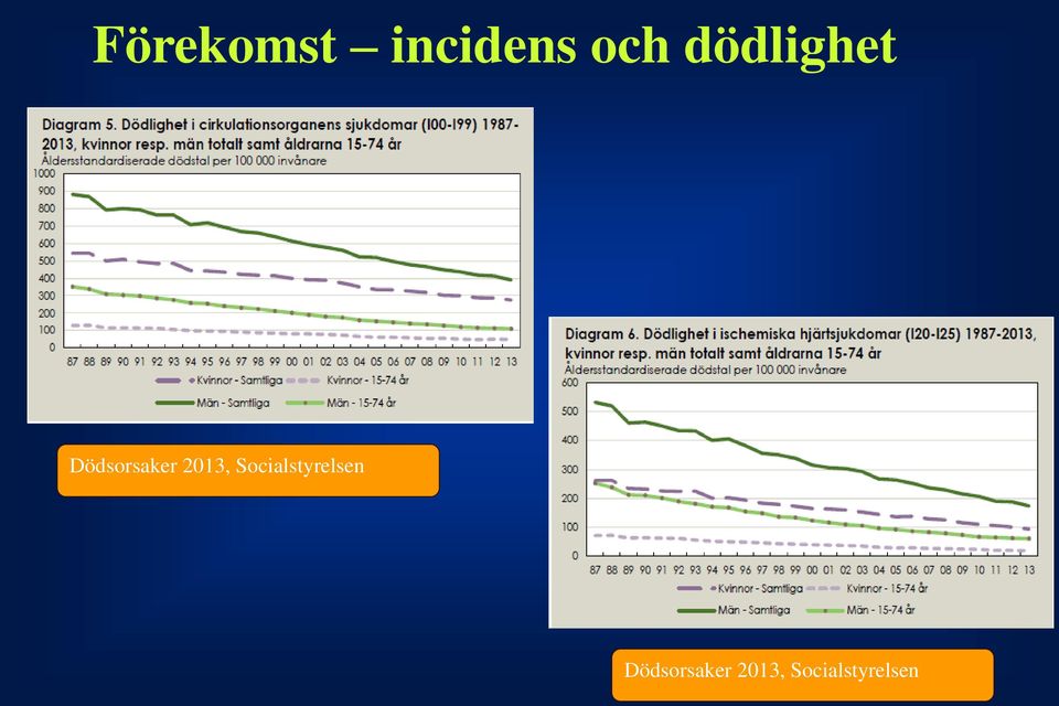 2013, Socialstyrelsen