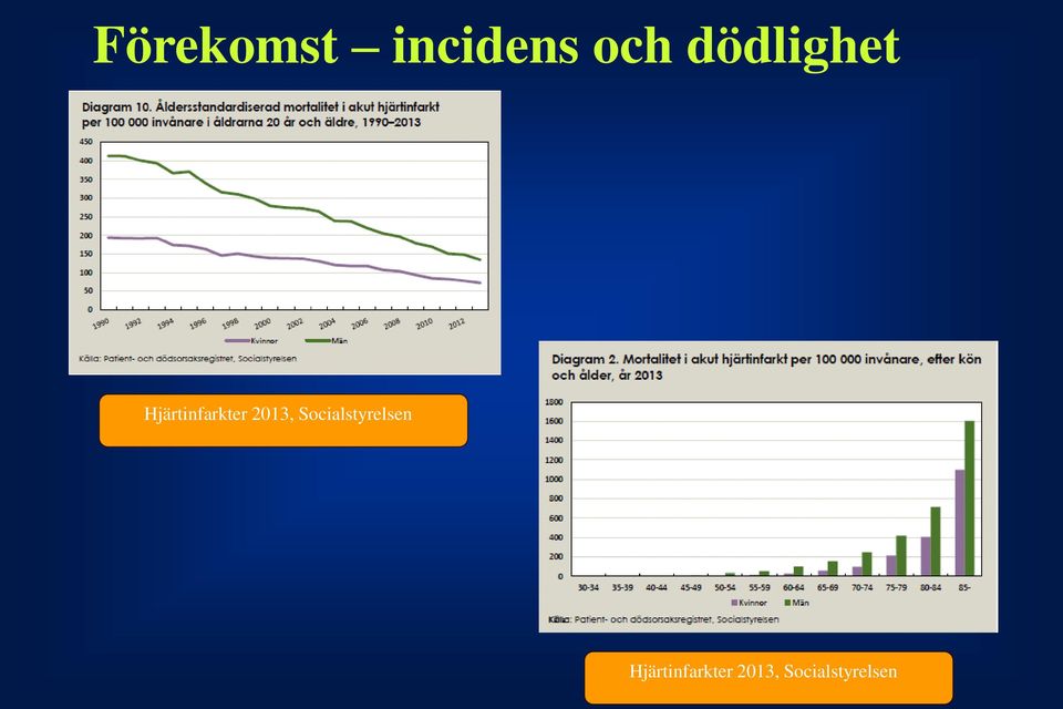 2013, Socialstyrelsen