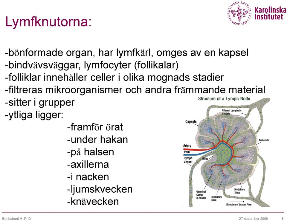 mikroorganismer och andra främmande material -sitter i grupper -ytliga ligger: -framför