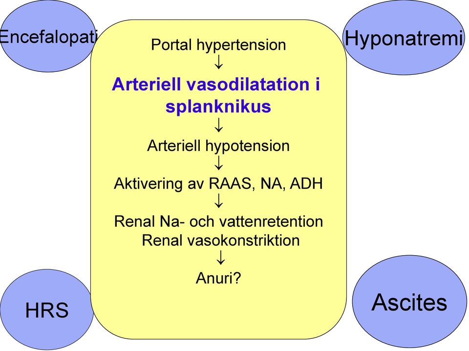 Aktivering av RAAS, NA, ADH Renal Na- och