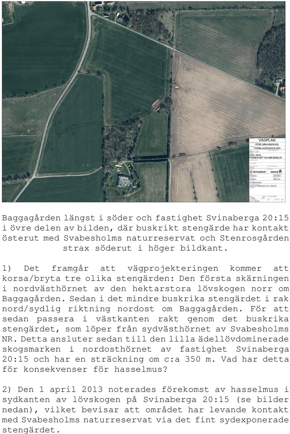 Sedan i det mindre buskrika stengärdet i rak nord/sydlig riktning nordost om Baggagården.