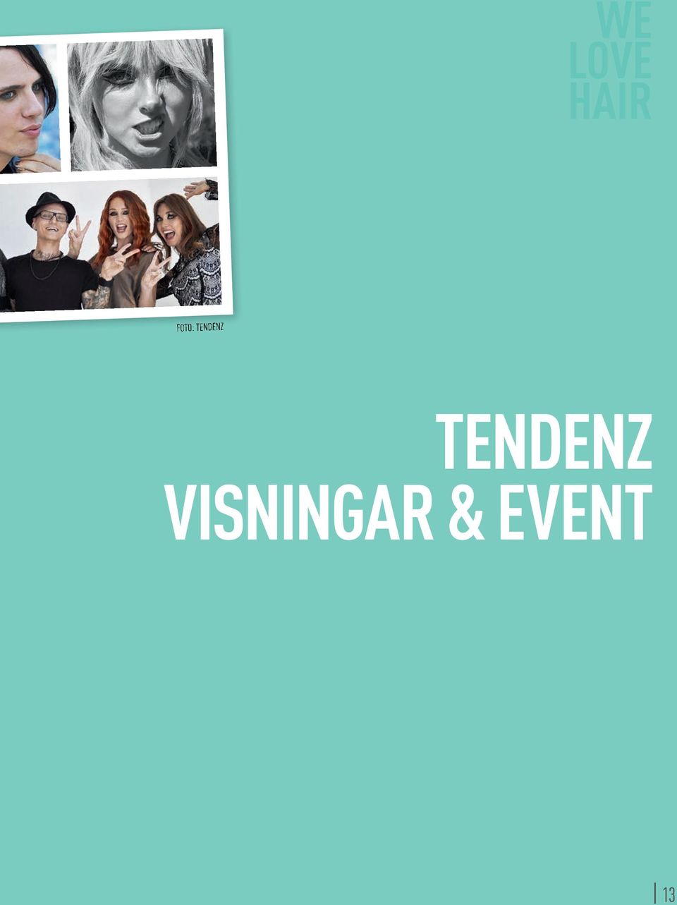 VISNINGAR