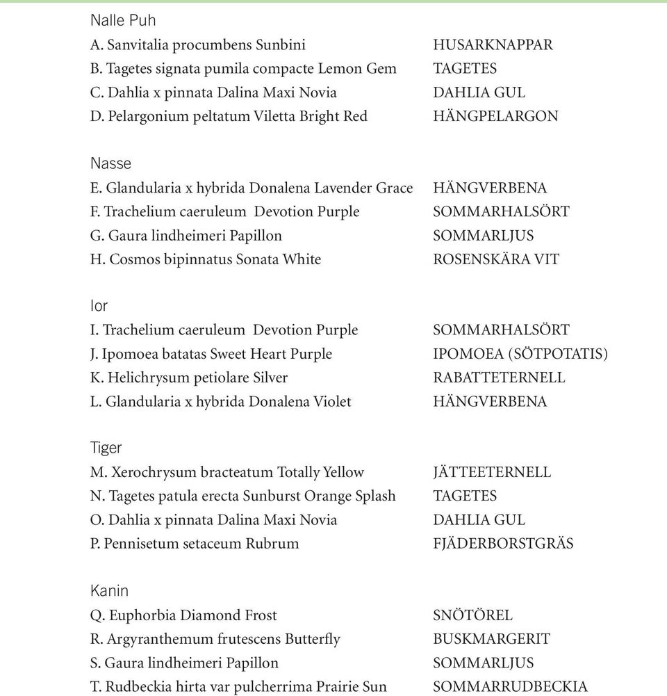Gaura lindheimeri Papillon SOMMAUS H. osmos bipinnatus Sonata White OSENSÄA VIT Ior I. Trachelium caeruleum evotion Purple SOMMAHASÖT. Ipomoea batatas Sweet Heart Purple IPOMOEA (SÖTPOTATIS).