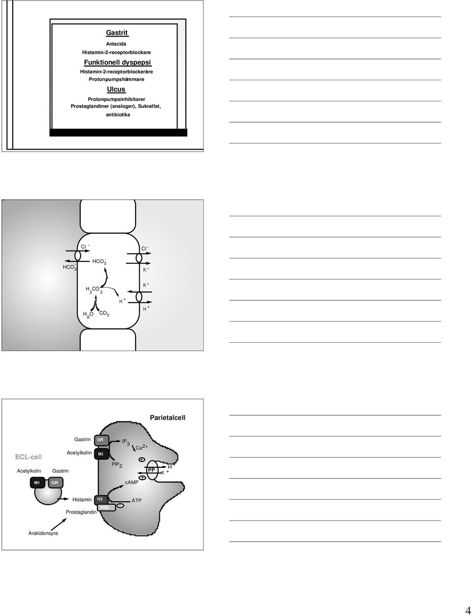 Protonpumpsinhibitorer (analoger), Sukralfat, Antacida Prostaglandiner (analoger), Sukralfat, Antimikrobiella medel: antibiotika antibiotika, vismut Cl - Cl - HCO 3 - HCO 3 -