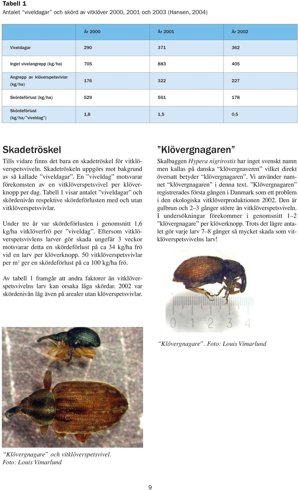 Skadetröskeln uppgörs mot bakgrund av så kallade viveldagar. En viveldag motsvarar förekomsten av en vitklöverspetsvivel per klöverknopp per dag.