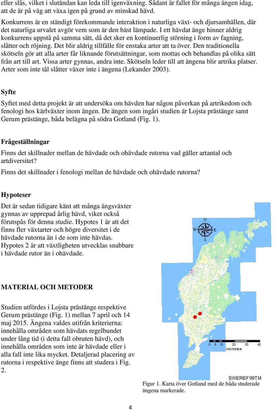 I ett hävdat änge hinner aldrig konkurrens uppstå på samma sätt, då det sker en kontinuerlig störning i form av fagning, slåtter och röjning. Det blir aldrig tillfälle för enstaka arter att ta över.