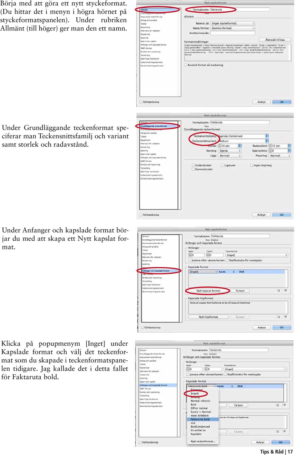 Under Grundläggande teckenformat speciferar man Teckensnittsfamilj och variant samt storlek och radavstånd.