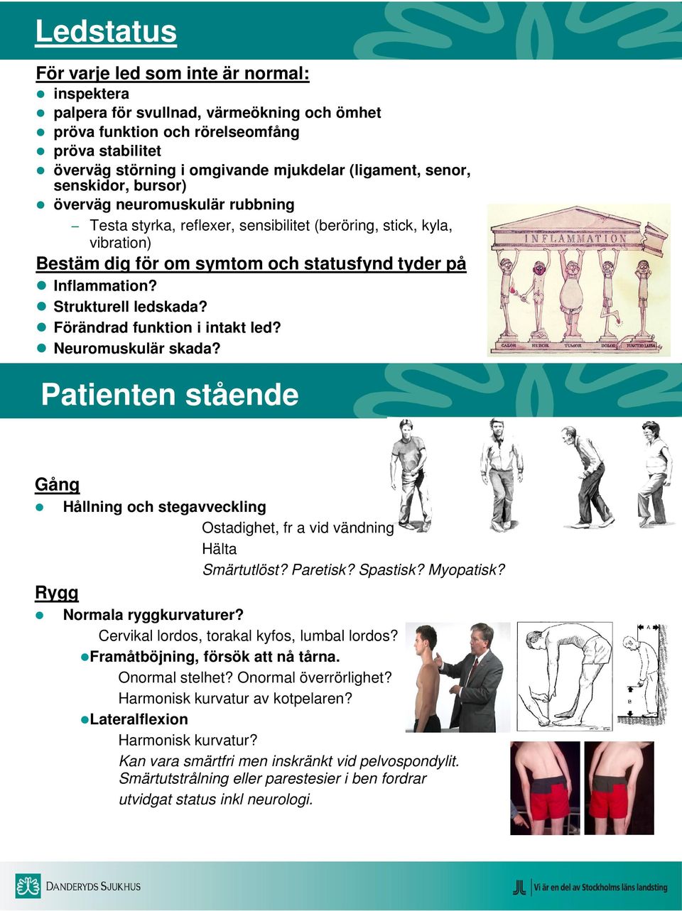 Strukturell ledskada? Förändrad funktion i intakt led? Neuromuskulär skada? Patienten stående Gång Hållning och stegavveckling Ostadighet, fr a vid vändning Hälta Smärtutlöst? Paretisk? Spastisk?