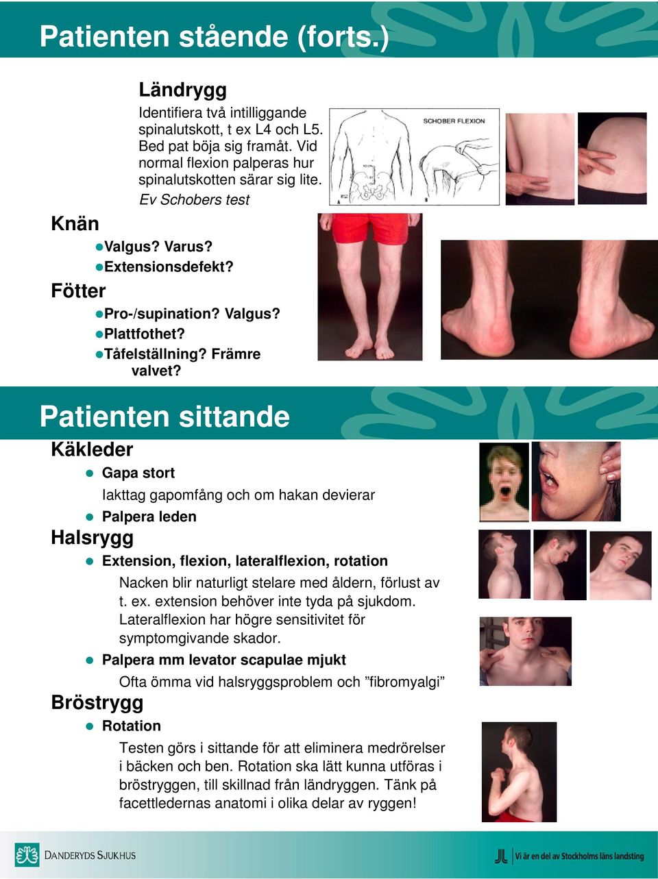 Patienten sittande Gapa stort Iakttag gapomfång och om hakan devierar Palpera leden Halsrygg Extension, flexion, lateralflexion, rotation Nacken blir naturligt stelare med åldern, förlust av t. ex.