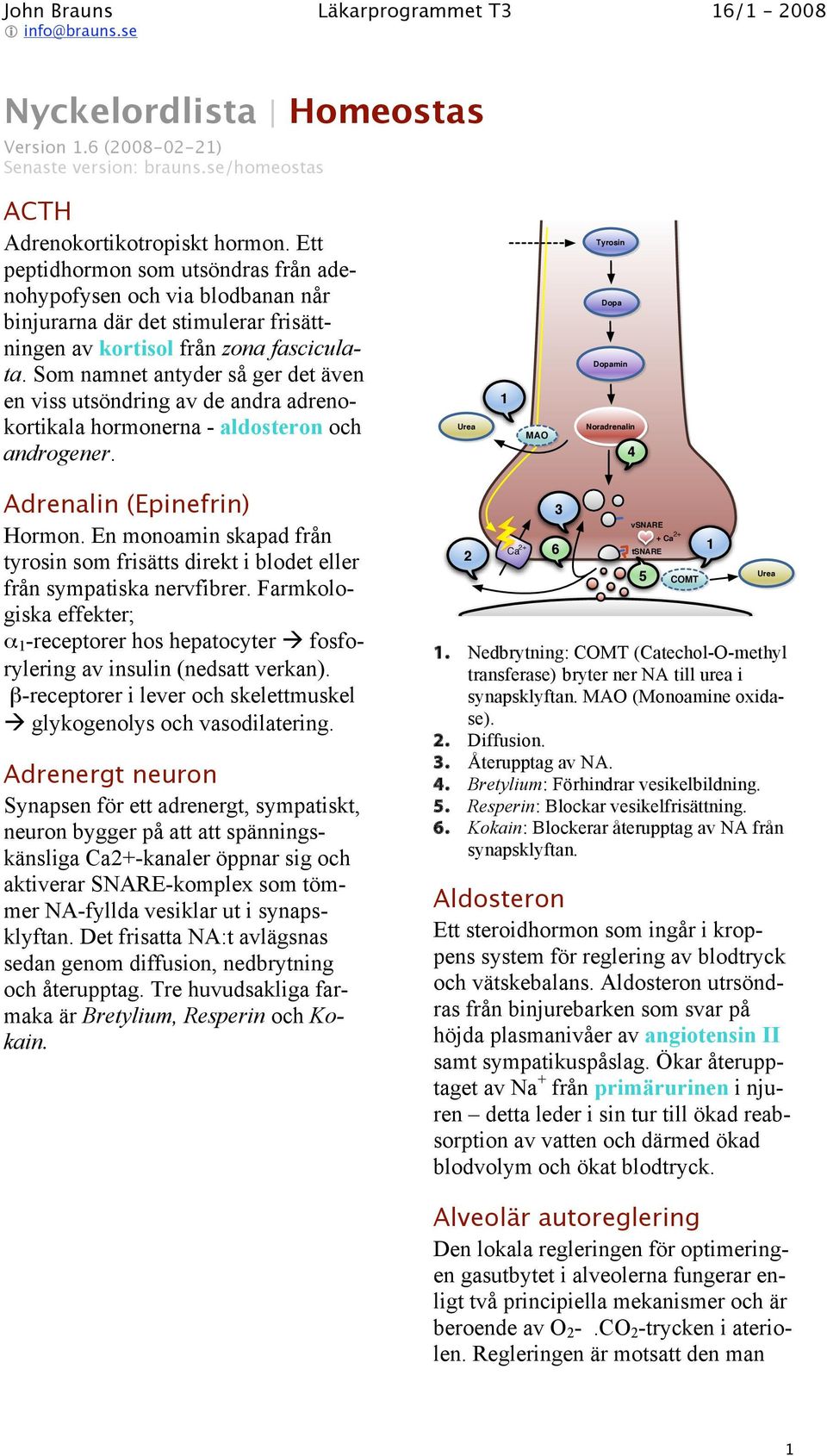 Som namnet antyder så ger det även en viss utsöndring av de andra adrenokortikala hormonerna - aldosteron och androgener. Urea 1 MAO Tyrosin Dopa Dopamin Noradrenalin 4 Adrenalin (Epinefrin) Hormon.