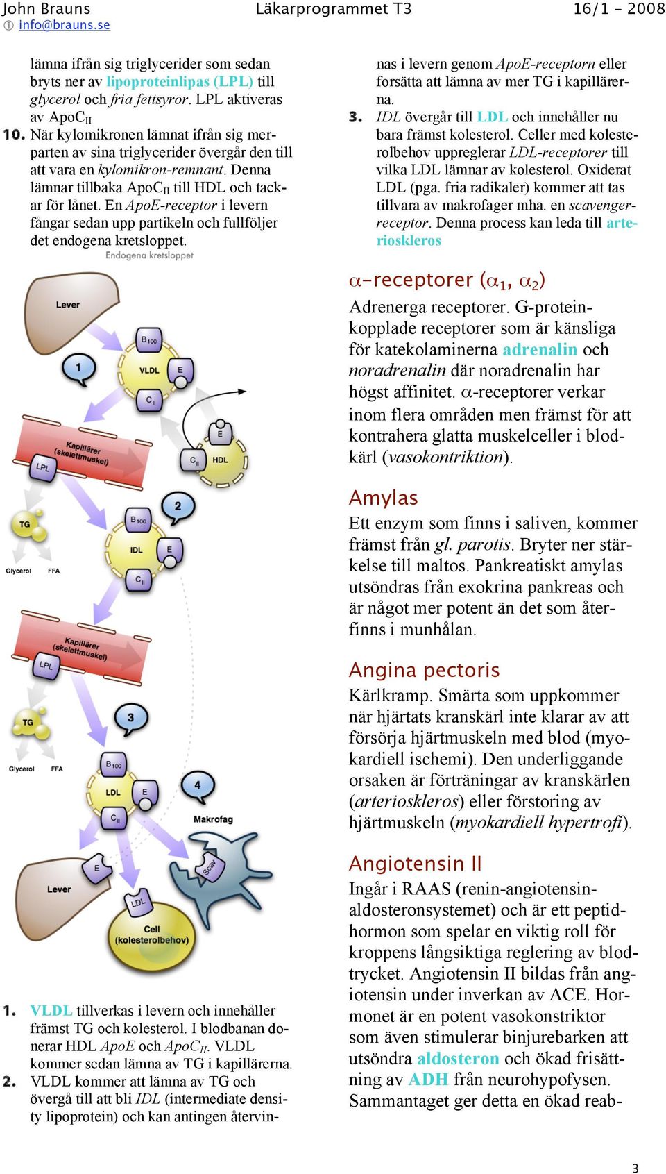 En ApoE-receptor i levern fångar sedan upp partikeln och fullföljer det endogena kretsloppet. 1. VLDL tillverkas i levern och innehåller främst TG och kolesterol.