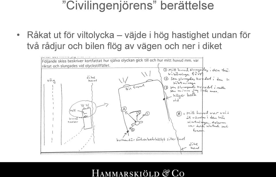 hastighet undan för två rådjur