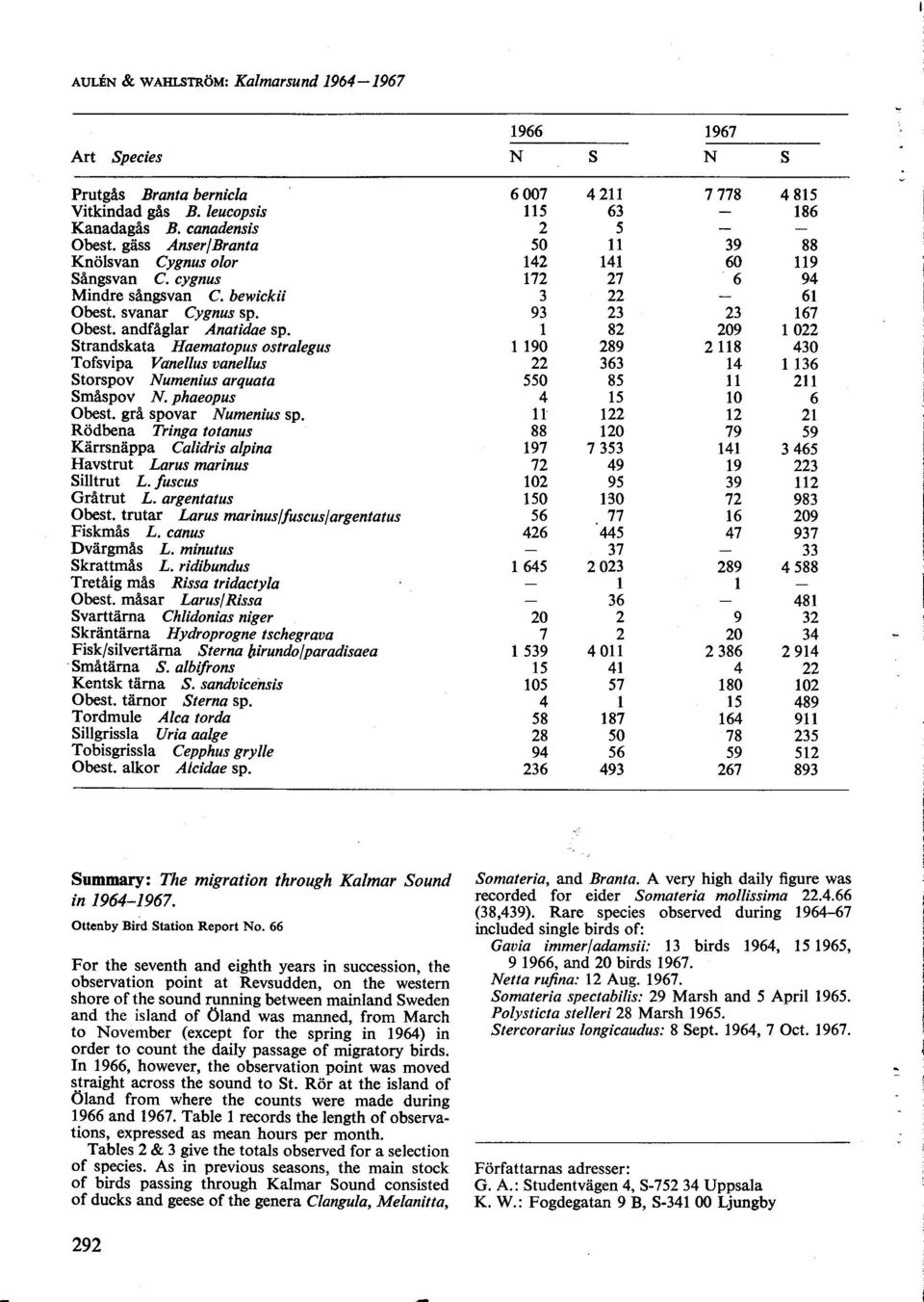 Rödbena Tringa ttanus Kärrsnäppa Calidris alpina Havstrut Larus marinus Silltrut L. /usas Gråtrut L. argentatus Obest. trutar Larus marinuslfususfargentatus Fiskmås L. anus Dvärgmås L.