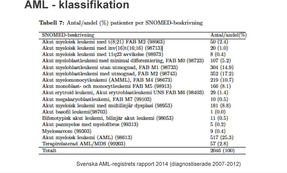 AML-registrets