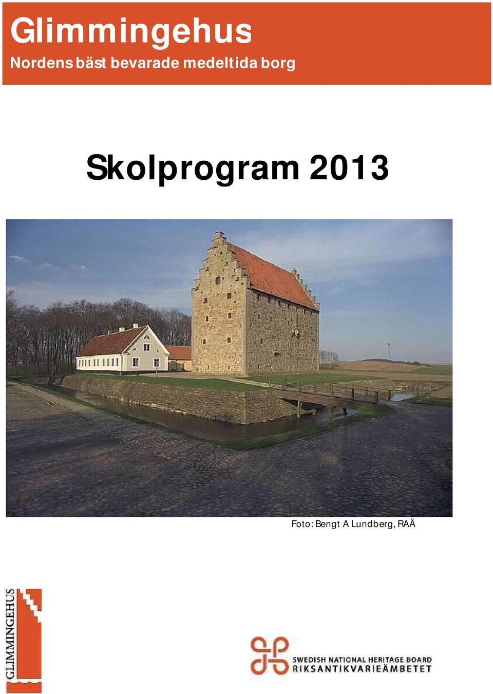 borg Skolprogram 2013