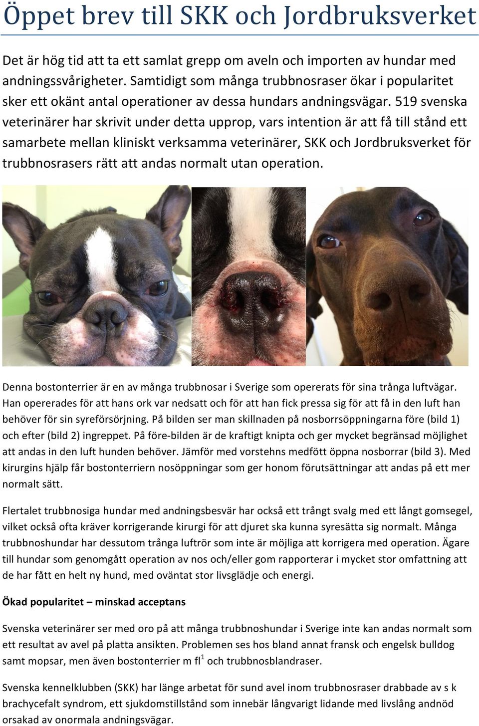 519 svenska veterinärer har skrivit under detta upprop, vars intention är att få till stånd ett samarbete mellan kliniskt verksamma veterinärer, SKK och Jordbruksverket för trubbnosrasers rätt att