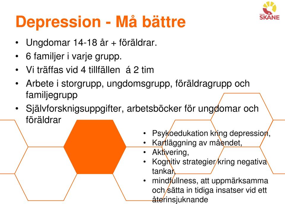 Självforsknigsuppgifter, arbetsböcker för ungdomar och föräldrar Psykoedukation kring depression, Kartläggning