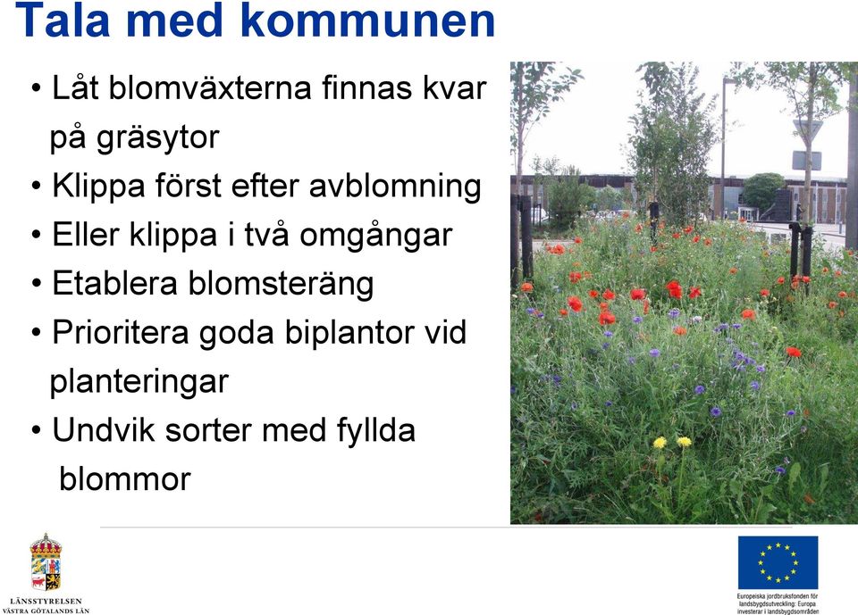 två omgångar Etablera blomsteräng Prioritera goda