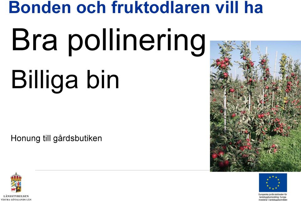 Bra pollinering