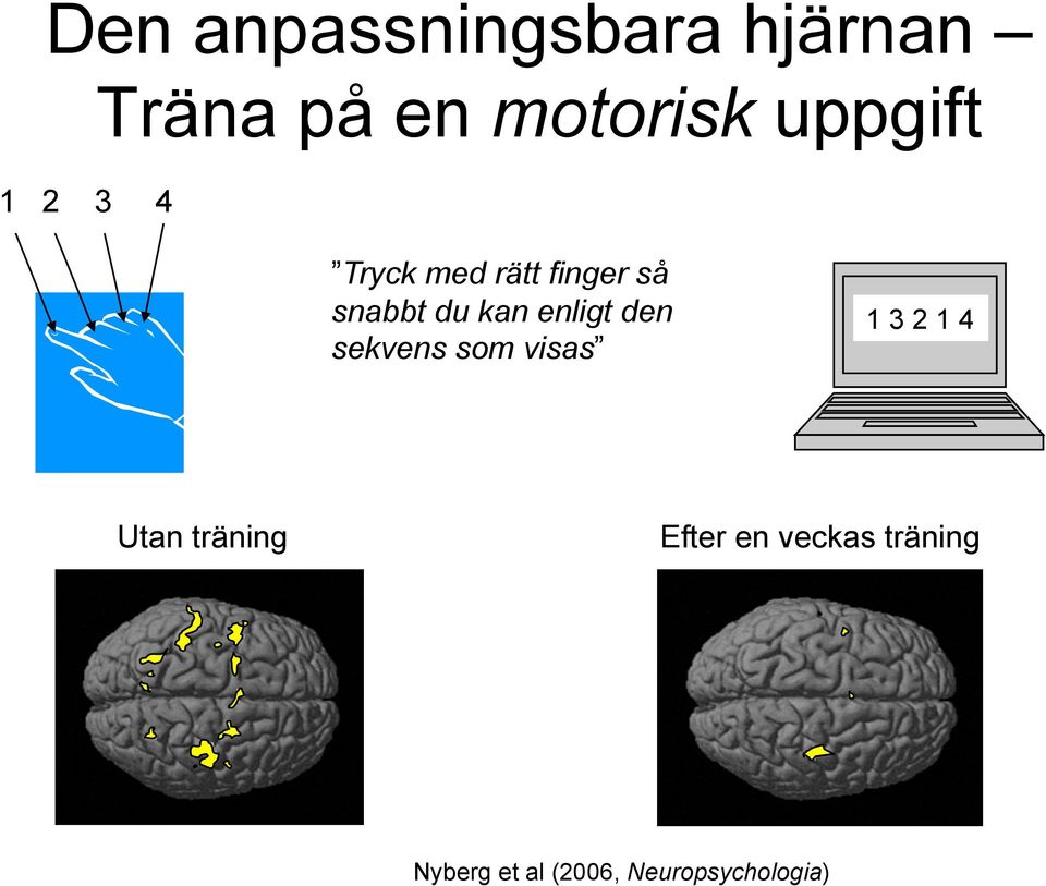 enligt den sekvens som visas 1 3 2 1 4 Utan träning