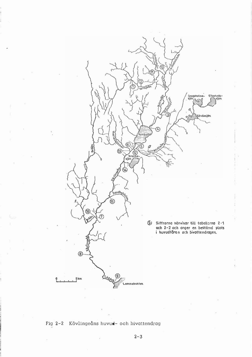 pats i huvudföron och bivottendrogeo.