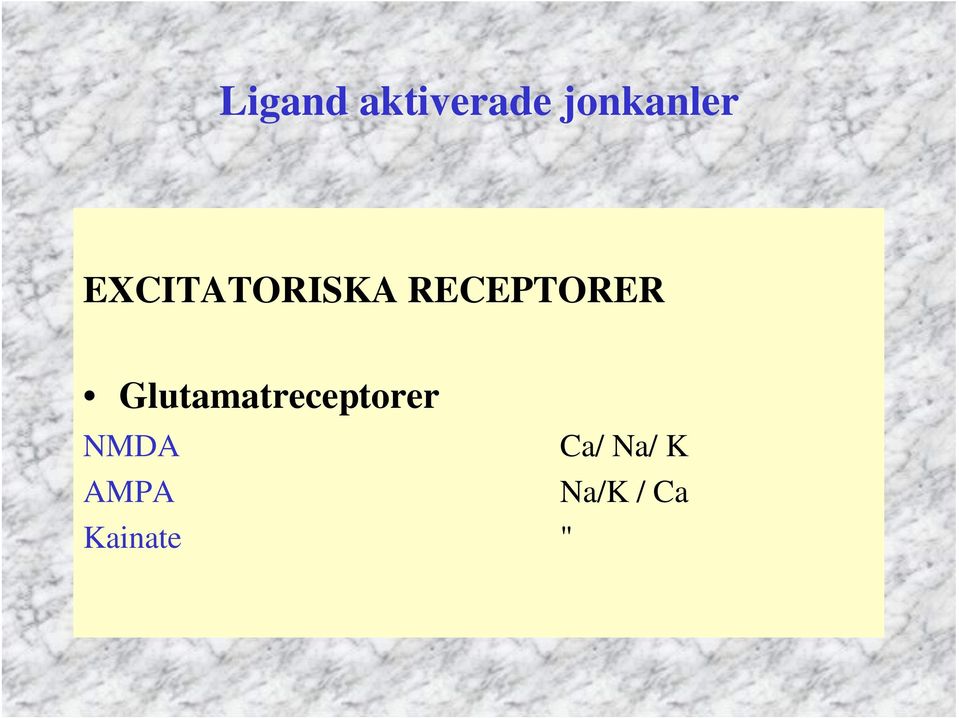 Glutamatreceptorer NMDA