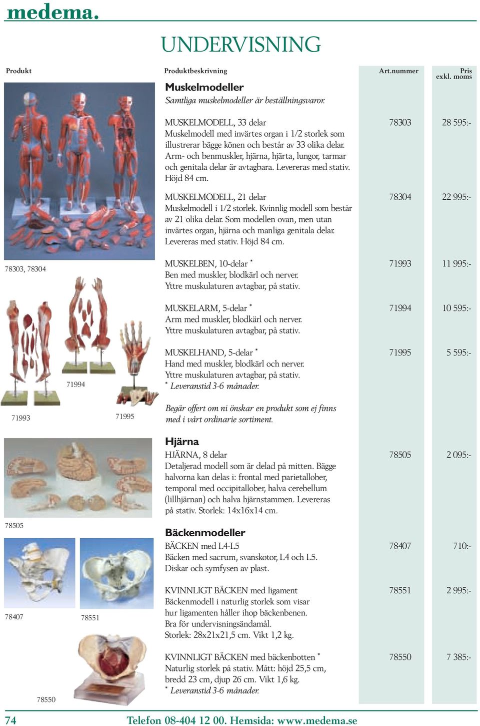 Arm- och benmuskler, hjärna, hjärta, lungor, tarmar och genitala delar är avtagbara. Levereras med stativ. Höjd 84 cm. MUSKELMODELL, 21 delar 78304 22 995:- Muskelmodell i 1/2 storlek.