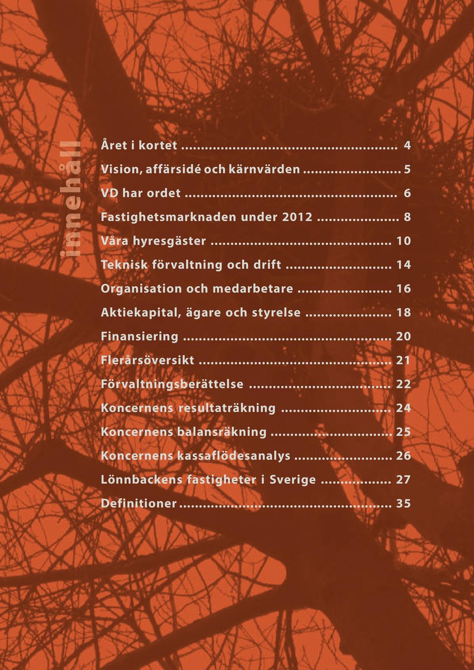 .. 16 Aktiekapital, ägare och styrelse... 18 Finansiering... 20 Flerårsöversikt... 21 Förvaltningsberättelse.