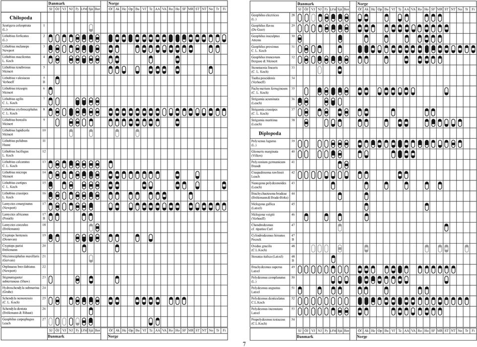 (Schubart) 8 Ommatoiulus sabulosus Paraspirobolus lucifugus 9 Tachypodoiulus niger Nemasoma varicorne 60 Pauropoda Thalassisobates littoralis 61 Pauropus huxleyi Lubbock 89 laniulus guttulatus