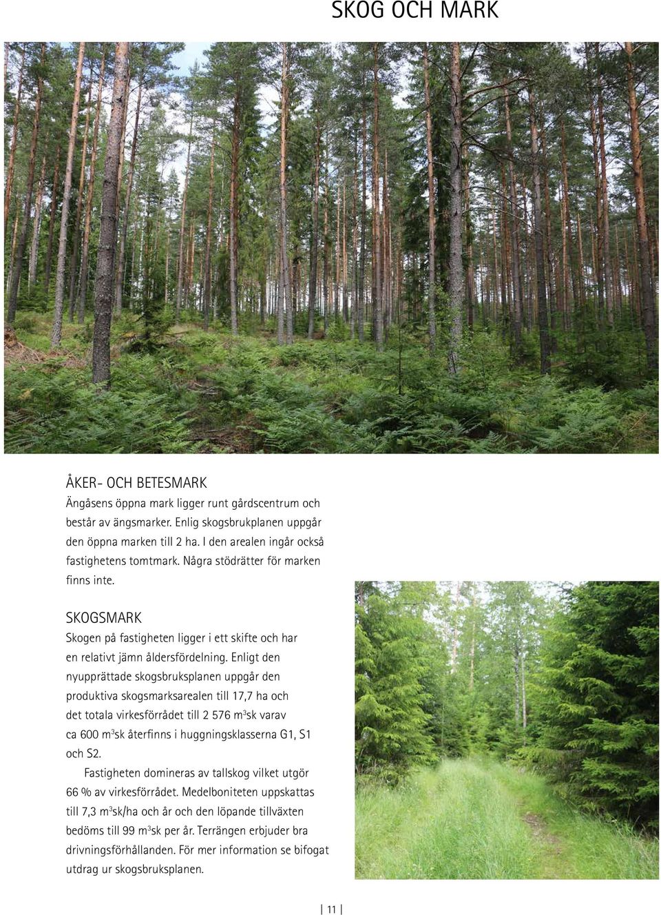 Enligt den nyupprättade skogsbruksplanen uppgår den produktiva skogsmarksarealen till 17,7 ha och det totala virkesförrådet till 576 m 3 sk varav ca 600 m 3 sk återfinns i huggningsklasserna G1, S1