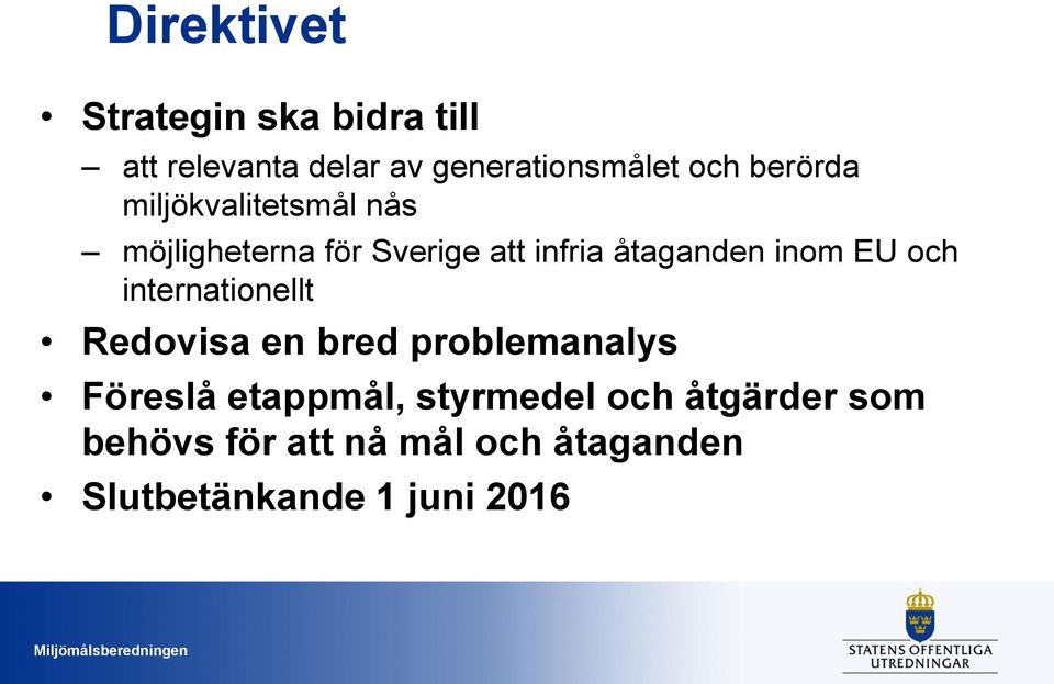 inom EU och internationellt Redovisa en bred problemanalys Föreslå etappmål,