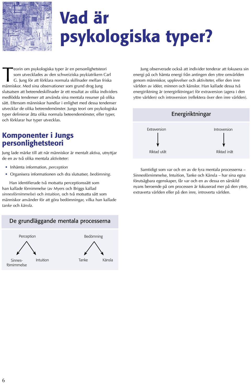 Med sina observationer som grund drog Jung slutsatsen att beteendeskillnader är ett resultat av olika individers medfödda tendenser att använda sina mentala resurser på olika sätt.