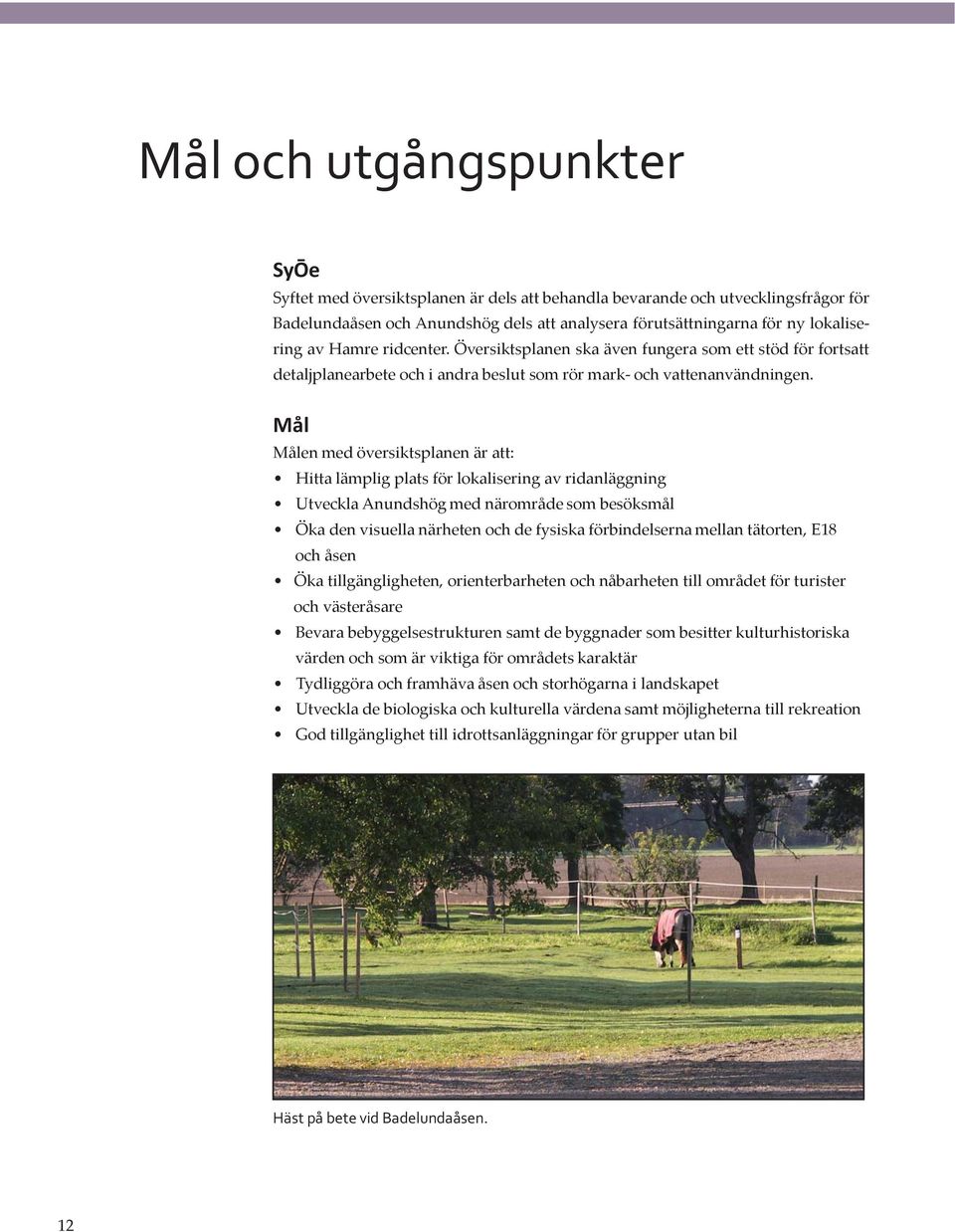 Mål Målen med översiktsplanen är att: Hitta lämplig plats för lokalisering av ridanläggning Utveckla Anundshög med närområde som besöksmål Öka den visuella närheten och de fysiska förbindelserna